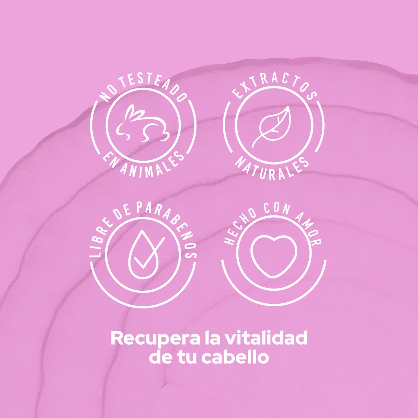 ACONDICIONADOR CON CEBOLLA ANYELUZ