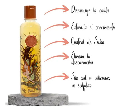 Shampoo Control Grasa enriquecido con romero y eucalipto
